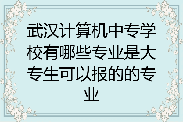武汉计算机中专学校有哪些专业是大专生可以报的的专业