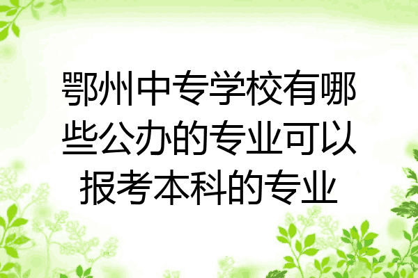 鄂州中专学校有哪些公办的专业可以报考本科的专业