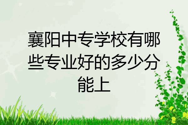 襄阳中专学校有哪些专业好的多少分能上