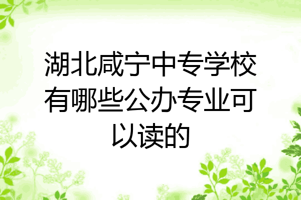 湖北咸宁中专学校有哪些公办专业可以读的