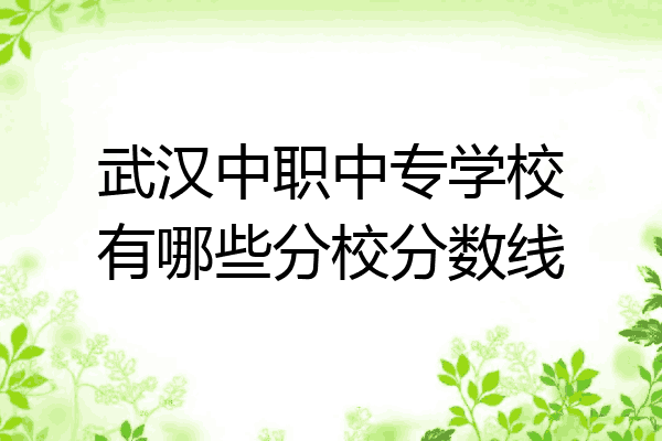 武汉中职中专学校有哪些分校分数线