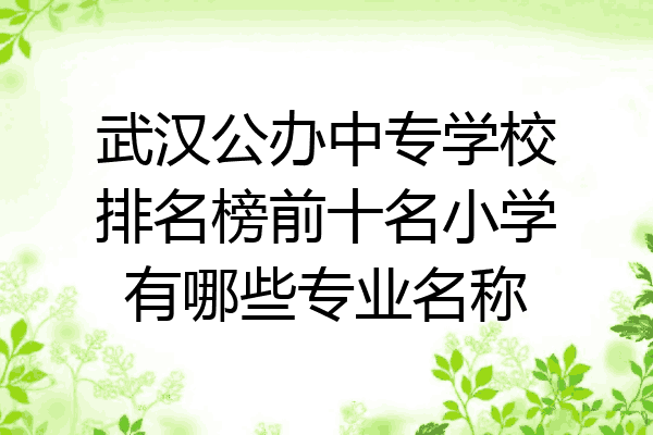 武汉公办中专学校排名榜前十名小学有哪些专业名称