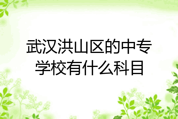 武汉洪山区的中专学校有什么科目