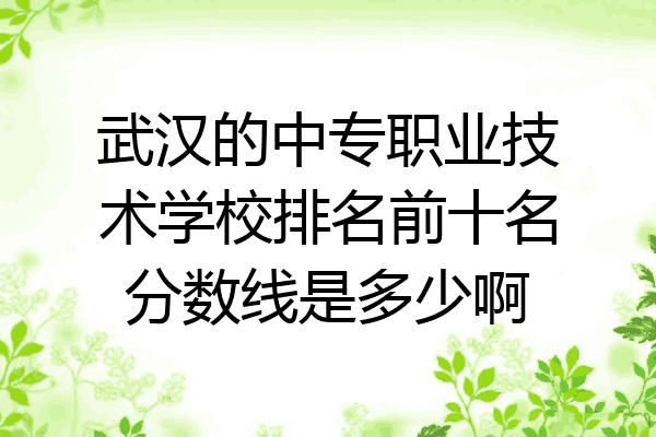 武汉的中专职业技术学校排名前十名分数线是多少啊