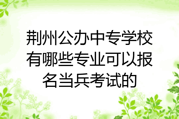 荆州公办中专学校有哪些专业可以报名当兵考试的