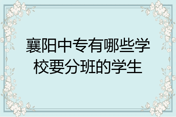 襄阳中专有哪些学校要分班的学生