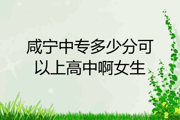 咸宁中专多少分可以上高中啊女生
