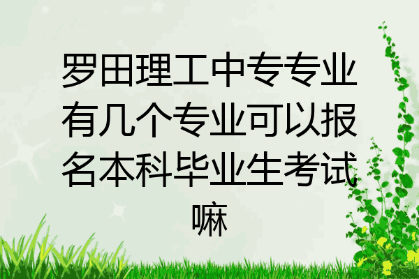 罗田理工中专专业有几个专业可以报名本科毕业生考试嘛