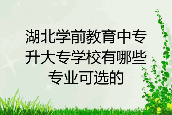 湖北学前教育中专升大专学校有哪些专业可选的