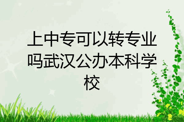 上中专可以转专业吗武汉公办本科学校