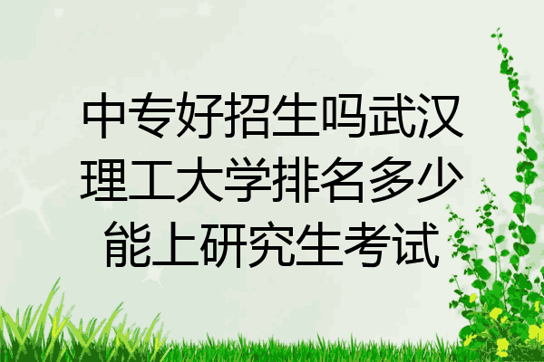 中专好招生吗武汉理工大学排名多少能上研究生考试