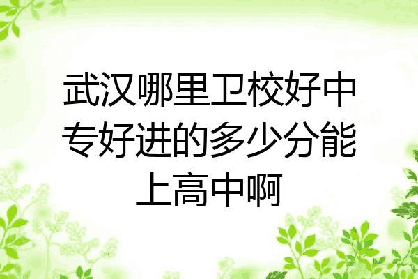 武汉哪里卫校好中专好进的多少分能上高中啊