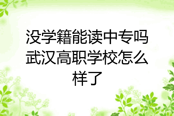 没学籍能读中专吗武汉高职学校怎么样了