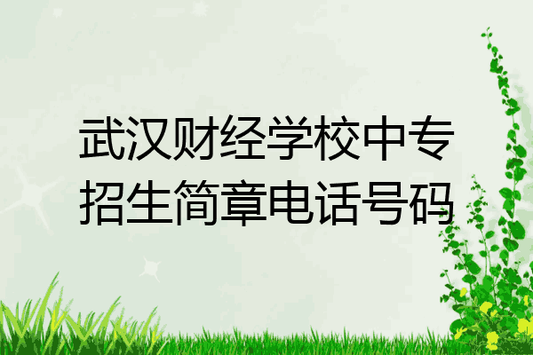 武汉财经学校中专招生简章电话号码
