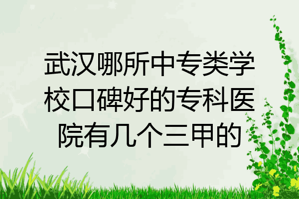 武汉哪所中专类学校口碑好的专科医院有几个三甲的