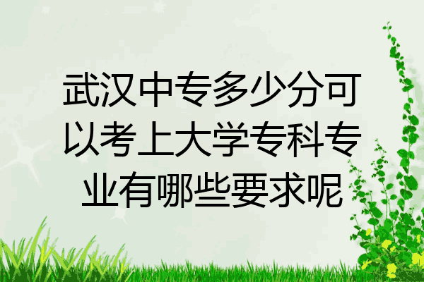 武汉中专多少分可以考上大学专科专业有哪些要求呢