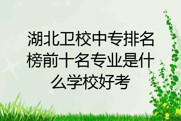 湖北卫校中专排名榜前十名专业是什么学校好考