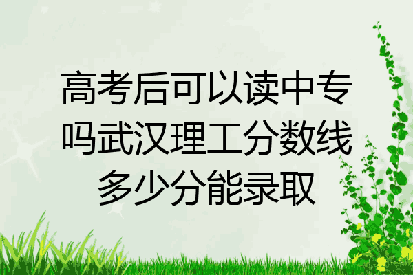 高考后可以读中专吗武汉理工分数线多少分能录取