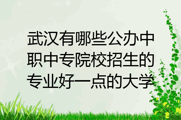武汉有哪些公办中职中专院校招生的专业好一点的大学