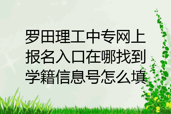罗田理工中专网上报名入口在哪找到学籍信息号怎么填