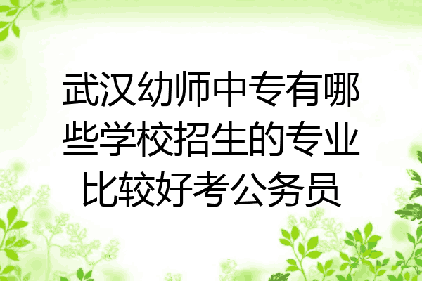 武汉幼师中专有哪些学校招生的专业比较好考公务员