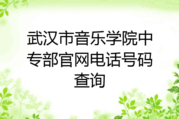 武汉市音乐学院中专部官网电话号码查询