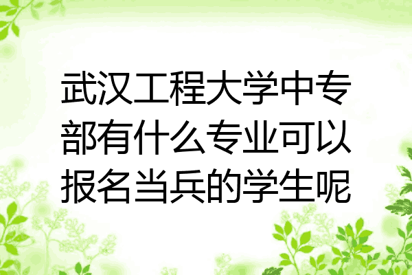 武汉工程大学中专部有什么专业可以报名当兵的学生呢