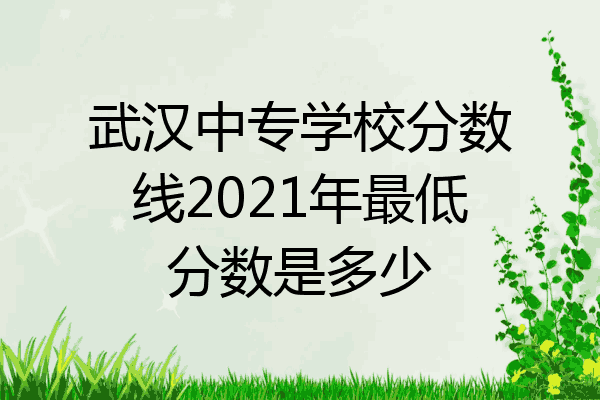 武汉中专学校分数线2021年最低分数是多少