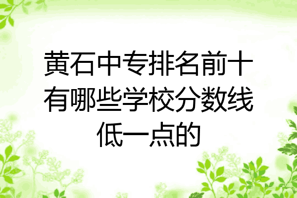 黄石中专排名前十有哪些学校分数线低一点的