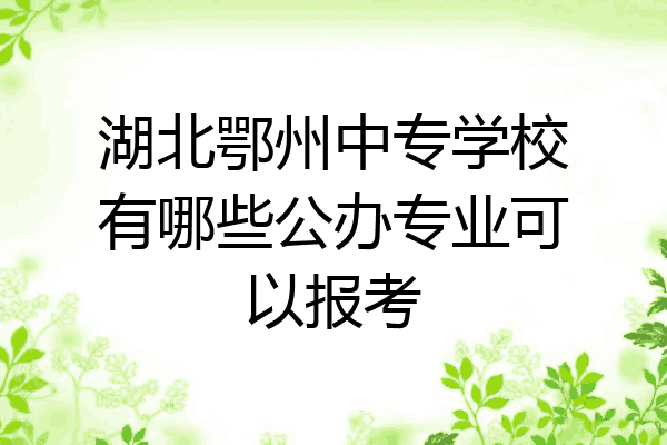 湖北鄂州中专学校有哪些公办专业可以报考