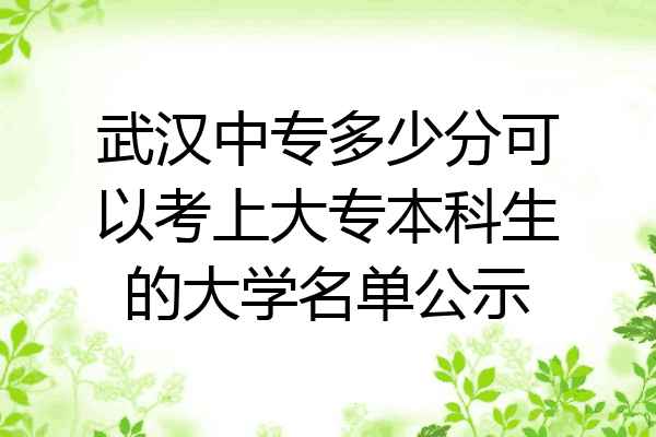 武汉中专多少分可以考上大专本科生的大学名单公示