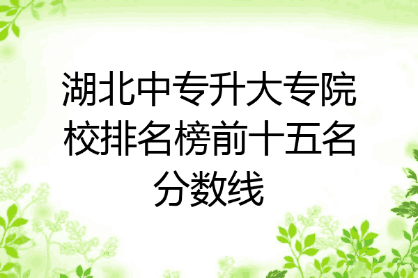 湖北中专升大专院校排名榜前十五名分数线