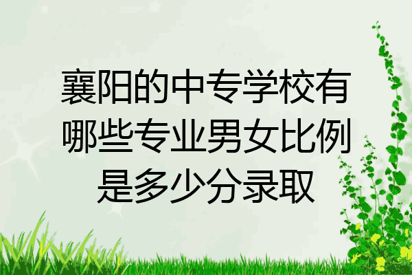 襄阳的中专学校有哪些专业男女比例是多少分录取