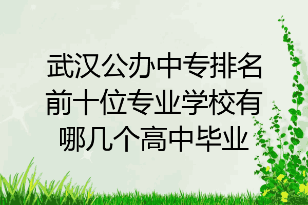 武汉公办中专排名前十位专业学校有哪几个高中毕业