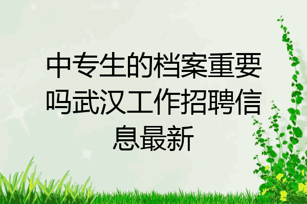 中专生的档案重要吗武汉工作招聘信息最新