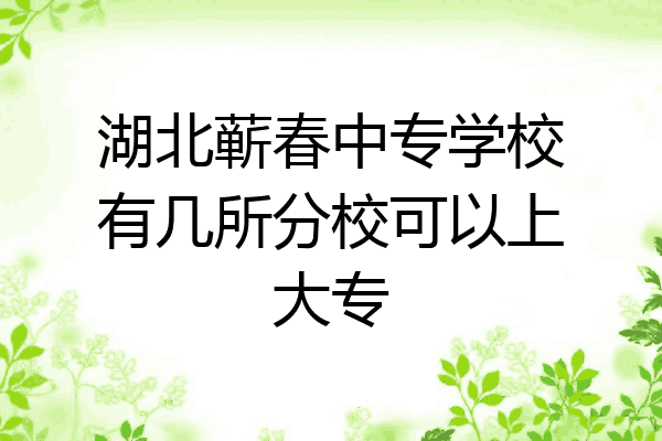湖北蕲春中专学校有几所分校可以上大专