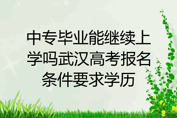中专毕业能继续上学吗武汉高考报名条件要求学历