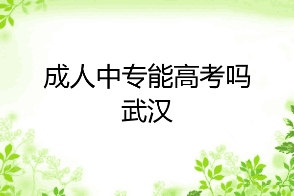 成人中专能高考吗武汉