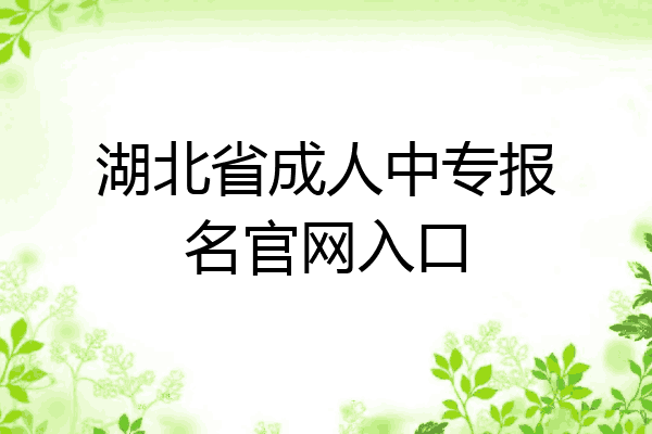 湖北省成人中专报名官网入口