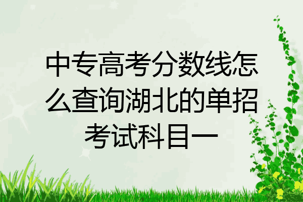 中专高考分数线怎么查询湖北的单招考试科目一