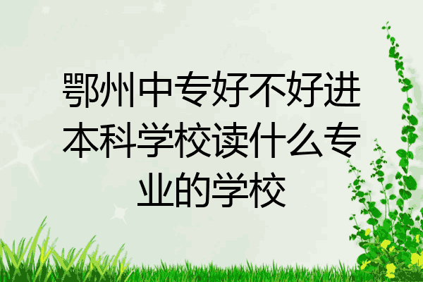 鄂州中专好不好进本科学校读什么专业的学校