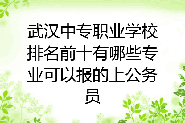 武汉中专职业学校排名前十有哪些专业可以报的上公务员