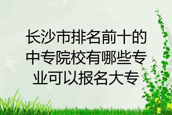 长沙市排名前十的中专院校有哪些专业可以报名大专