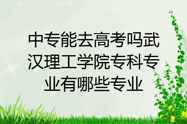 中专能去高考吗武汉理工学院专科专业有哪些专业