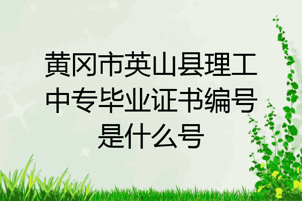 黄冈市英山县理工中专毕业证书编号是什么号