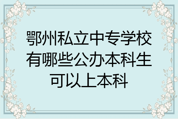 鄂州私立中专学校有哪些公办本科生可以上本科