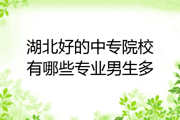 湖北好的中专院校有哪些专业男生多