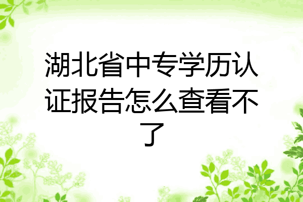 湖北省中专学历认证报告怎么查看不了