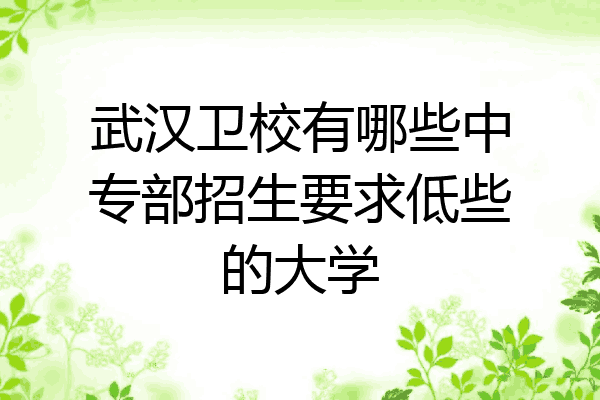 武汉卫校有哪些中专部招生要求低些的大学