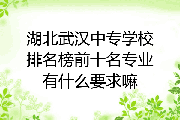 湖北武汉中专学校排名榜前十名专业有什么要求嘛